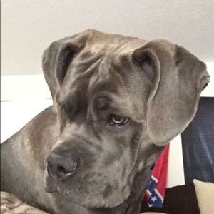 Meet your Posher, Jason